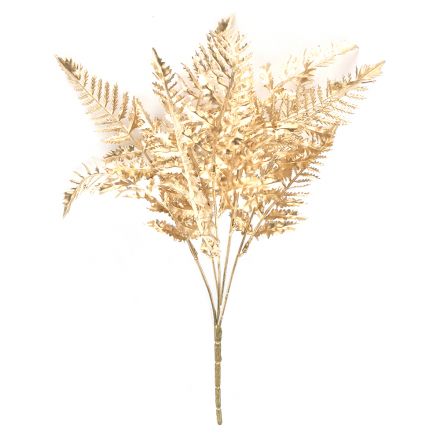 Golden fern bundle cm 37