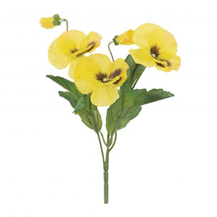 Pansèe bouquet Yellow