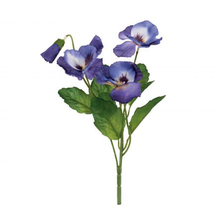 Pansèe bouquet Violet