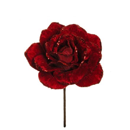 Red Rose pick