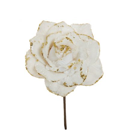 Cream rose pick