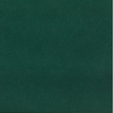 green solid color tnt bag, vertical