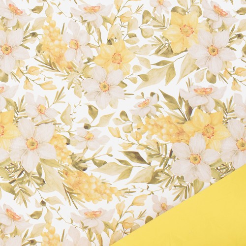 Narciso paper roll