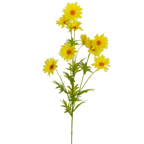 Branch of yellow daisies