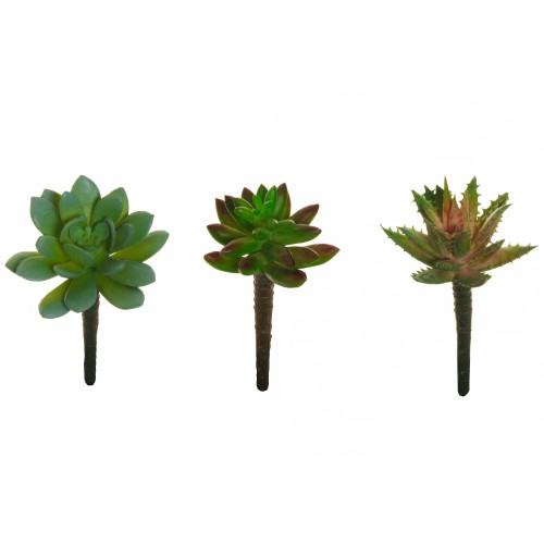 Mini rubber succulents assortments