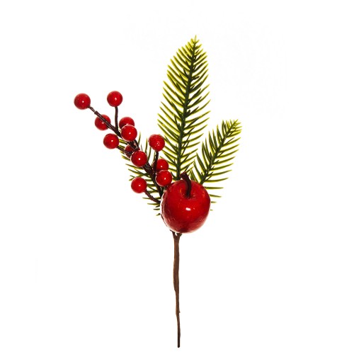 Pick pine, apple, pine cone and berries