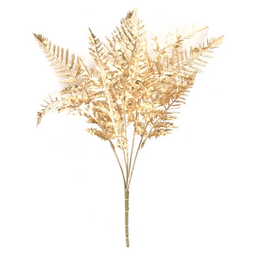 Golden fern bundle cm 37