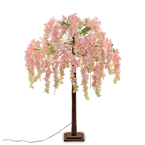 Pink wisteria tree cm 120h