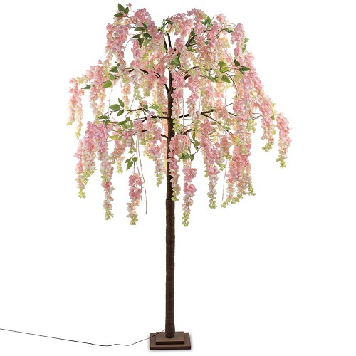 Pink wisteria tree cm 180h