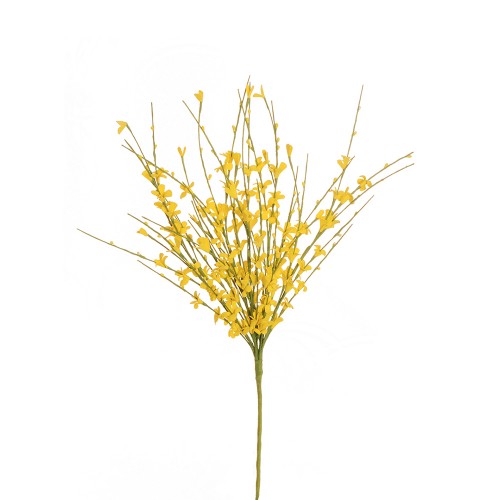 Yellow broom bouquet
