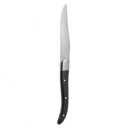 Steak knife with black acrylic handle