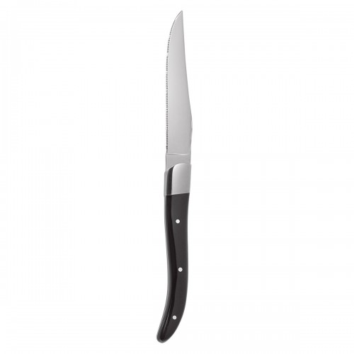 Steak knife with black acrylic handle