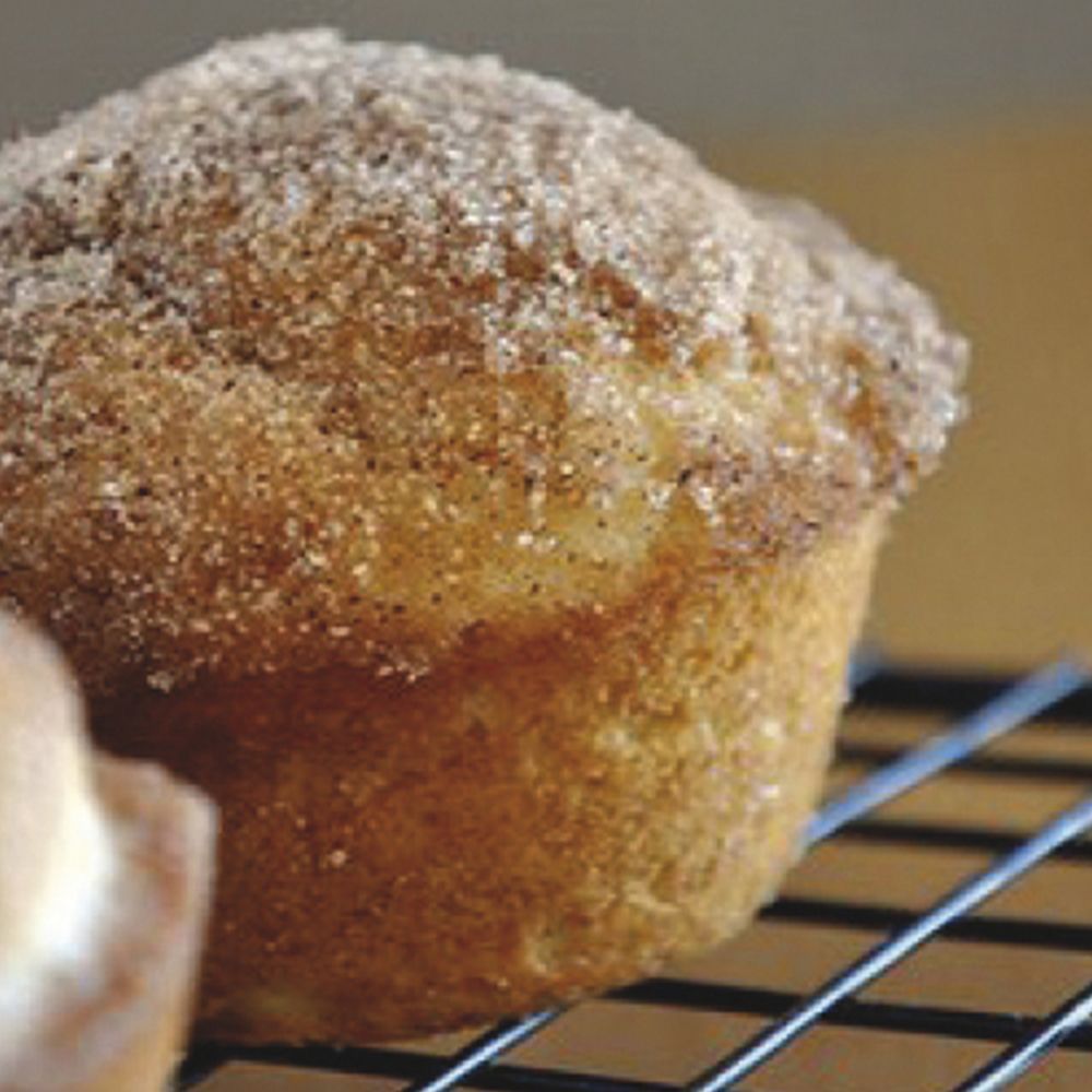 Pavoflex Muffin  silicone mold