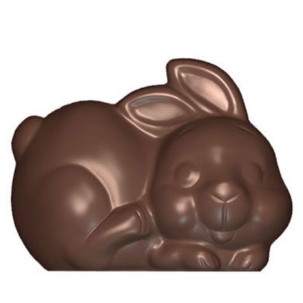 Chocolate bunny mold in polycarbonate 