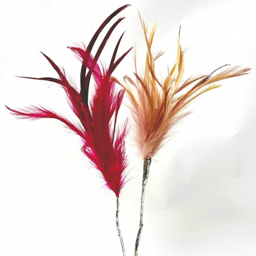 Pick with feathers and animable stem