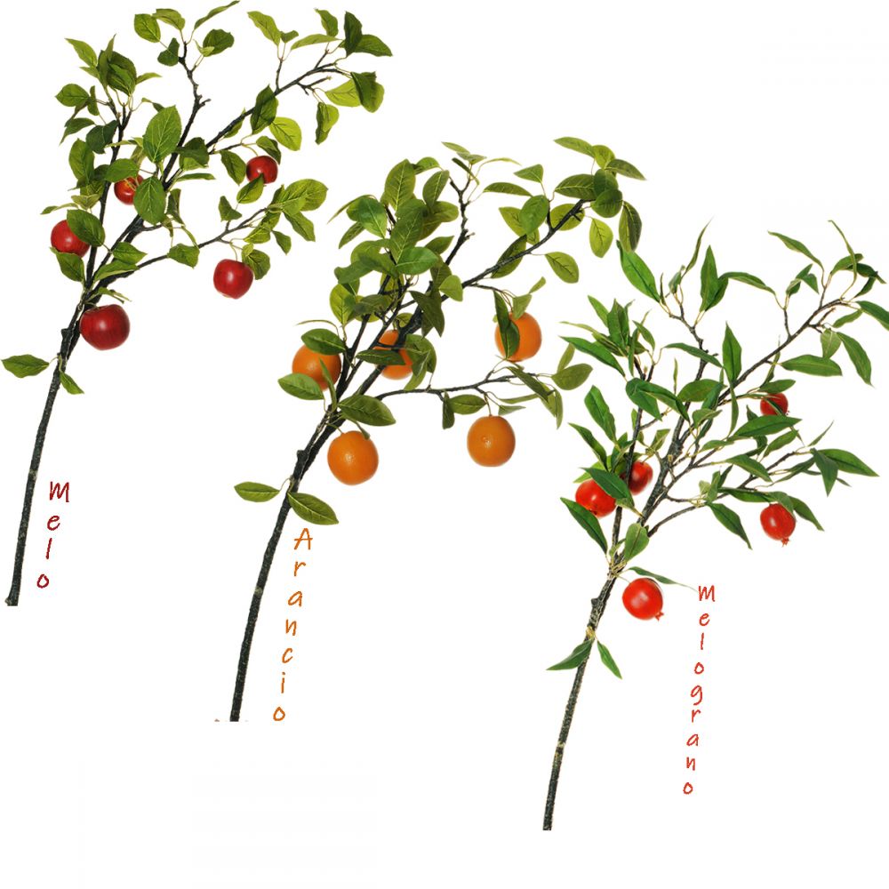 Branch covered with 5 fruits and leave