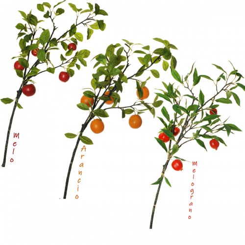 Branch covered with 5 fruits and leave