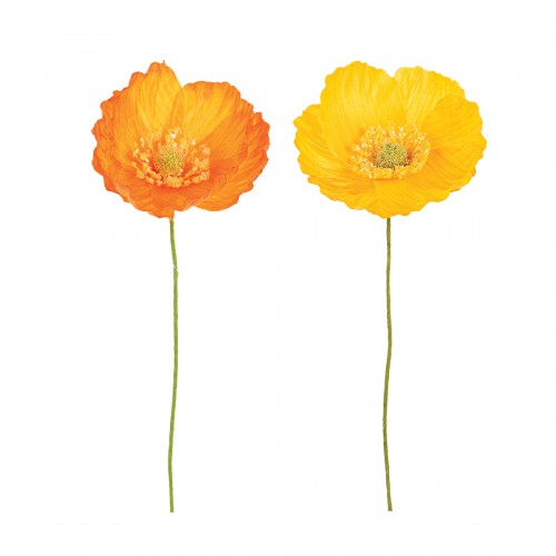 Yellow or orange poppy